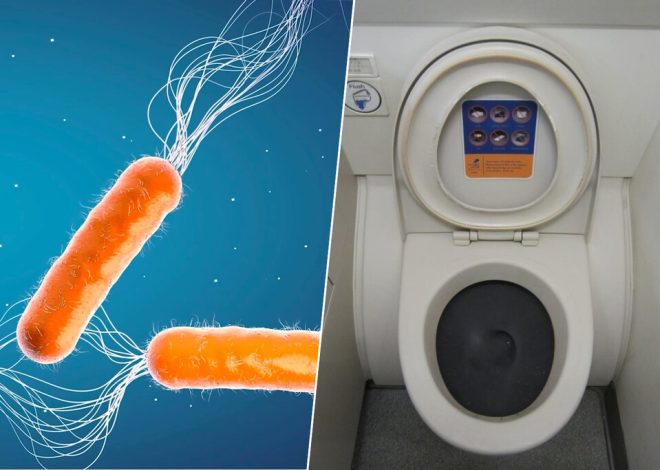 Nadie sabe cómo combatir las superbacterias, pero hay quienes ya son de ayuda: los que hacen caca en los aviones